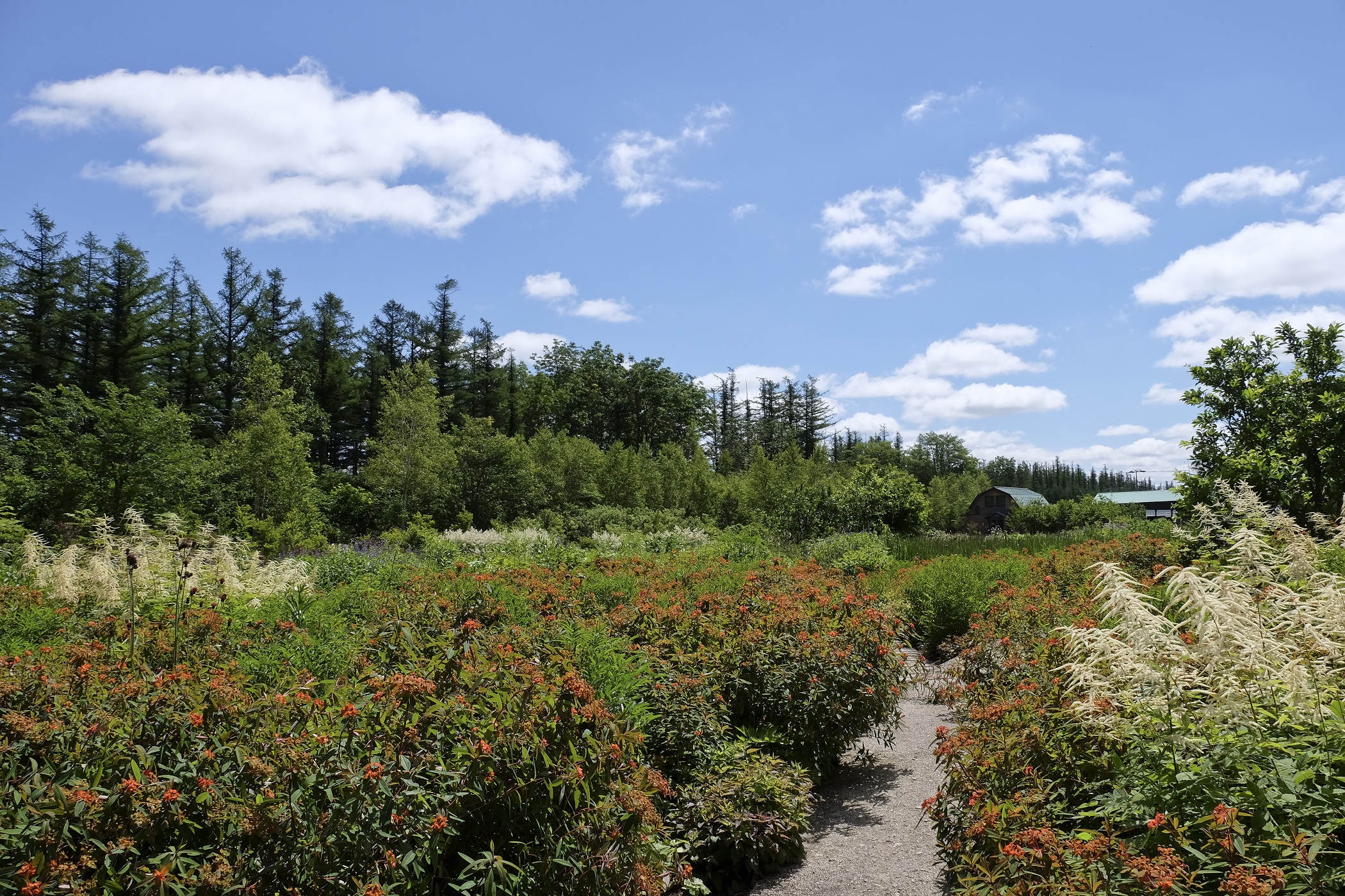 十勝千年の森(店舗検索)|清水町商工会(北海道十勝)