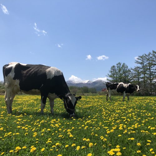 十勝清水町ってどんなところ？